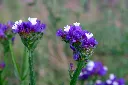 arcaion-perturbed-1598857_1920.webp