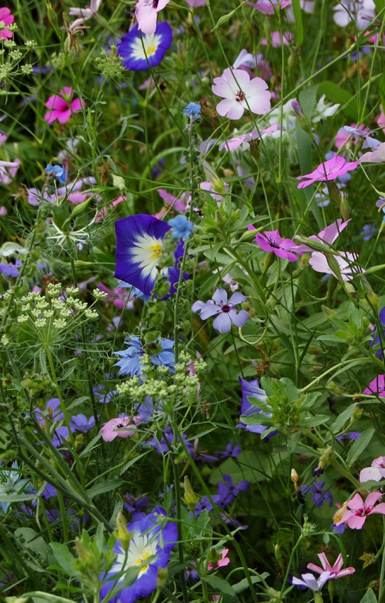 Mix 'Pretty in Pink'  