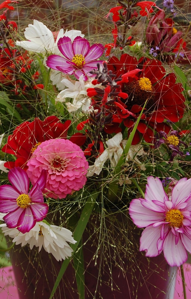 [CM-516] Mix 'Snijbloemen'  