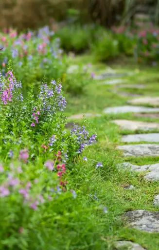 [FM-514] Mix Rock'n'Bloom